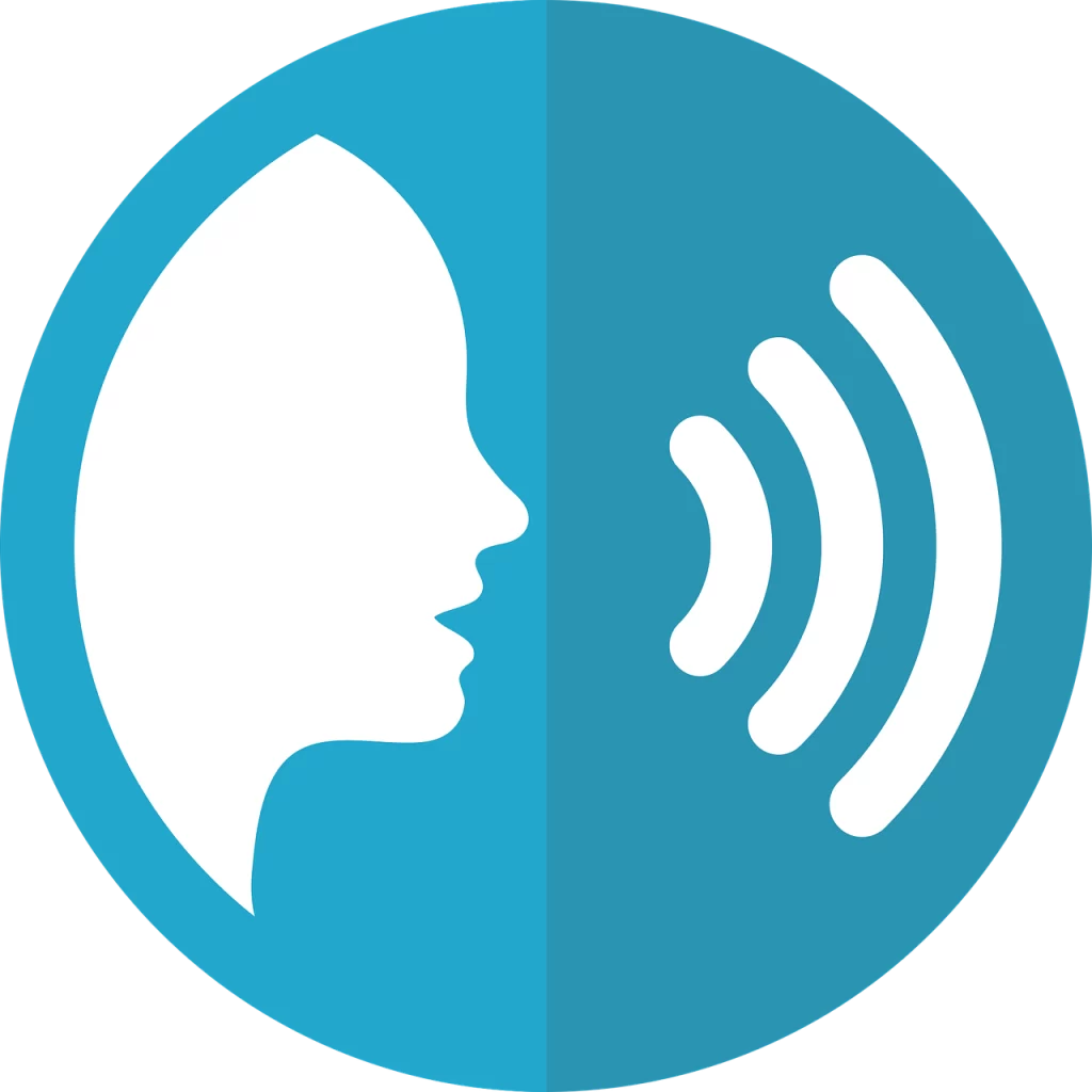 The Importance of Voice Communication in Modern Business